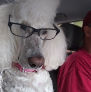 Meet your Posher, Alecia